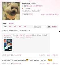 媒体娱乐爆料有哪些类型,五大热门类型深度解析